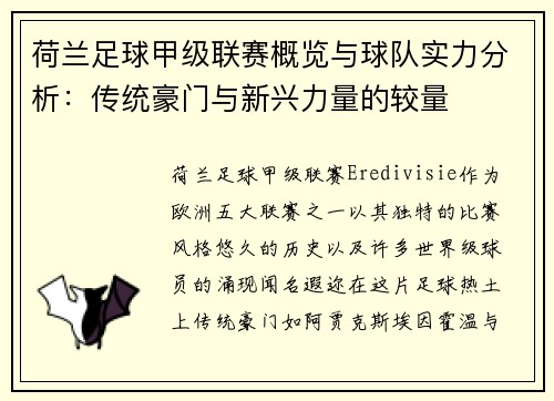 荷兰足球甲级联赛概览与球队实力分析：传统豪门与新兴力量的较量